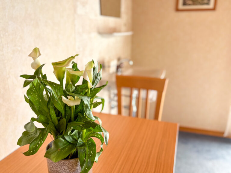 Bergheim_Frick_edited-55